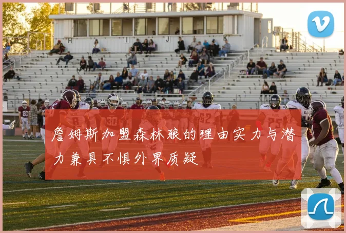 詹姆斯加盟森林狼的理由实力与潜力兼具不惧外界质疑